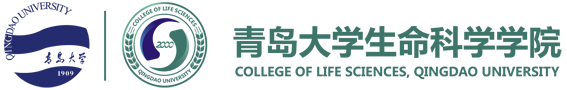 AC米兰中文官方网站